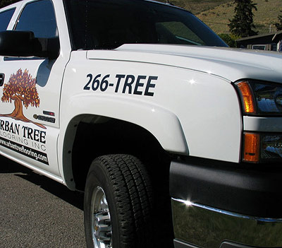 Hardwood Flooring company, Urban Tree Flooring, serving Calgary and area.